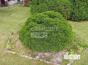 Дача 65м², 2-этажный, участок 6 сот.  