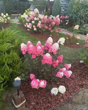 Дом 54м&sup2;, 1-этажный, участок 11 сот.  