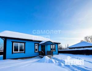 Дом 95м&sup2;, 1-этажный, участок 6 сот.  