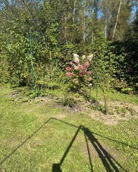 Дом 85м&sup2;, 2-этажный, участок 7 сот.  