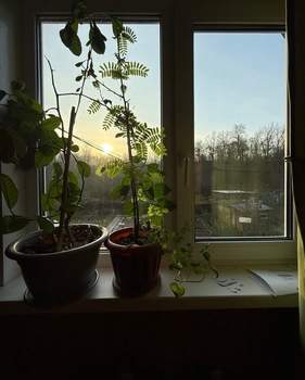 Дом 109м&sup2;, 2-этажный, участок 10 сот.  