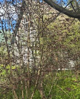 Дом 50м&sup2;, 2-этажный, участок 6 сот.  