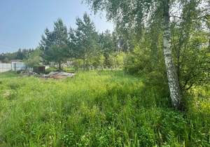 Дом 20м&sup2;, 1-этажный, участок 12 сот.  