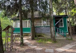 Дача 70м², 2-этажный, участок 25 сот.  