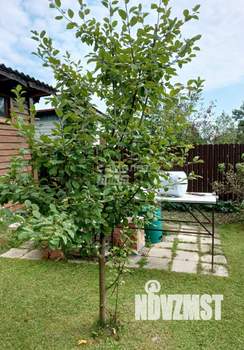 Дача 65м², 2-этажный, участок 6 сот.  