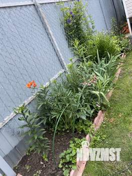 Дом 50м&sup2;, 1-этажный, участок 4 сот.  