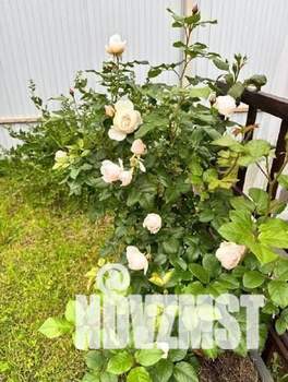 Коттедж 156м², 2-этажный, участок 8 сот.  