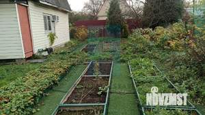 Дом 49м&sup2;, 2-этажный, участок 4 сот.  