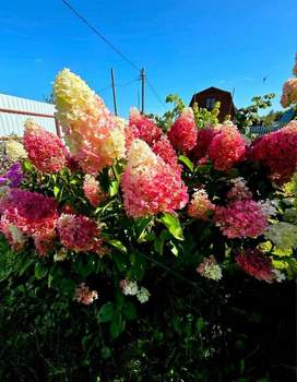 Дом 86м&sup2;, 2-этажный, участок 10 сот.  