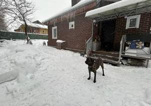 Дом 50м&sup2;, 1-этажный, участок 4 сот.  