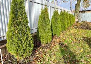 Дом 250м², 2-этажный, участок 10 сот.  