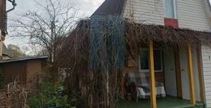 Дом 49м², 2-этажный, участок 4 сот.  