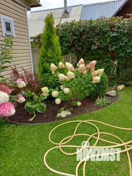 Дом 84м&sup2;, 2-этажный, участок 6 сот.  