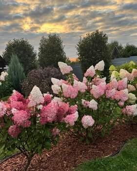 Дом 54м&sup2;, 1-этажный, участок 11 сот.  