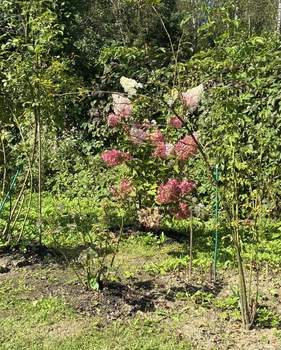 Дом 85м&sup2;, 2-этажный, участок 7 сот.  