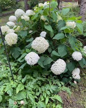 Дом 143м&sup2;, 3-этажный, участок 11 сот.  