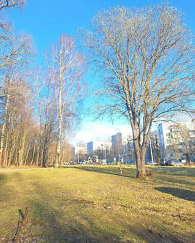 1-к квартира, вторичка, 31м2, 4/5 этаж