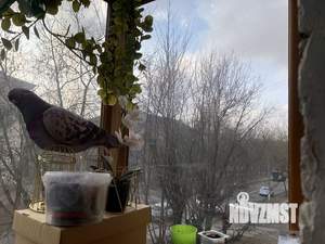 2-к квартира, вторичка, 45м2, 3/5 этаж