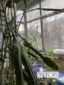 2-к квартира, вторичка, 45м2, 3/5 этаж