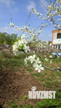 Фото квартиры на продажу (8)
